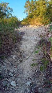 Dugaan Rekayasa Anggaran 8,4 M di PUPR Maluku, Ternyata Gunakan Dua Perusahan Dengan Alamat Palsu